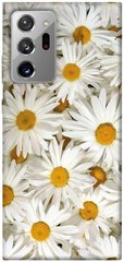 Чехол для Samsung Galaxy Note 20 Ultra PandaPrint Ромашки цветы