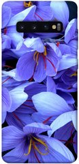 Чехол для Samsung Galaxy S10+ PandaPrint Фиолетовый сад цветы