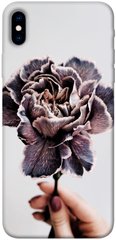 Чехол для Apple iPhone XS Max (6.5"") PandaPrint Гвоздика цветы