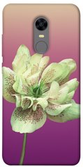 Чехол для Xiaomi Redmi 5 Plus PandaPrint Розовый пурпур цветы