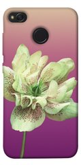 Чохол для Xiaomi Redmi 4X PandaPrint Рожевий пурпур квіти