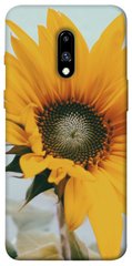 Чохол для OnePlus 7 Pro PandaPrint Соняшник квіти