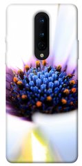 Чехол для OnePlus 8 PandaPrint Полевой цветок цветы