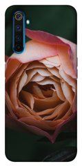 Чехол для Realme 6 Pro PandaPrint Роза остин цветы