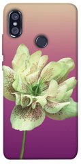 Чехол для Xiaomi Redmi Note 5 Pro PandaPrint Розовый пурпур цветы