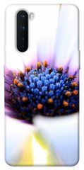 Чехол для OnePlus Nord PandaPrint Полевой цветок цветы