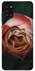 Чехол для Samsung Galaxy A31 PandaPrint Роза остин цветы
