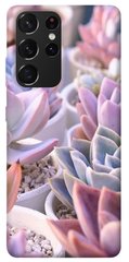 Чехол для Samsung Galaxy S21 Ultra PandaPrint Эхеверия 2 цветы