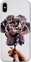 Чехол для Apple iPhone XS (5.8"") PandaPrint Гвоздика цветы