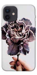 Чохол для Apple iPhone 12 mini (5.4 "") PandaPrint Гвоздика квіти