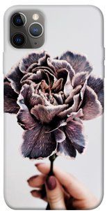 Чохол для Apple iPhone 12 Pro Max (6.7 "") PandaPrint Гвоздика квіти