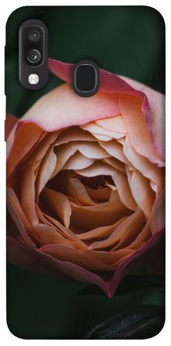 Чехол для Samsung Galaxy A40 (A405F) PandaPrint Роза остин цветы
