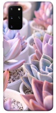 Чехол для Samsung Galaxy S20+ PandaPrint Эхеверия 2 цветы