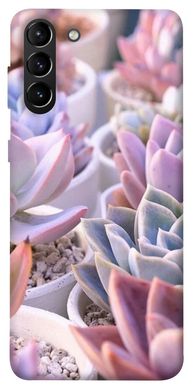 Чохол для Samsung Galaxy S21 + PandaPrint Ехеверія 2 квіти