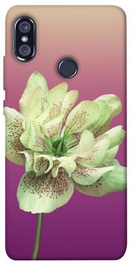 Чехол для Xiaomi Redmi Note 5 Pro PandaPrint Розовый пурпур цветы