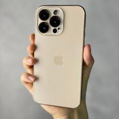 Чехол для iPhone 13 AG Titanium case Champaign Gold