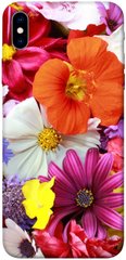 Чехол для Apple iPhone XS Max (6.5"") PandaPrint Бархатный сезон цветы