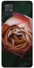 Чехол для Samsung Galaxy A71 PandaPrint Роза остин цветы