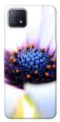 Чехол для Oppo A73 PandaPrint Полевой цветок цветы