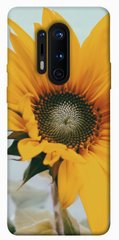 Чохол для OnePlus 8 Pro PandaPrint Соняшник квіти