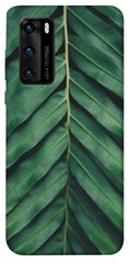 Чехол для Huawei P40 PandaPrint Пальмовый лист цветы
