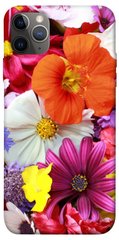 Чехол для Apple iPhone 12 Pro Max (6.7"") PandaPrint Бархатный сезон цветы