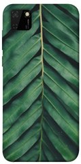 Чехол для Huawei Y5p PandaPrint Пальмовый лист цветы