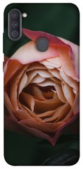 Чехол для Samsung Galaxy A11 PandaPrint Роза остин цветы