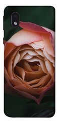 Чехол для Samsung Galaxy M01 Core / A01 Core PandaPrint Роза остин цветы