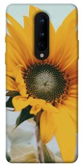 Чехол для OnePlus 8 PandaPrint Подсолнух цветы