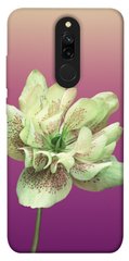 Чехол для Xiaomi Redmi 8 PandaPrint Розовый пурпур цветы