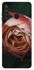 Чехол для Samsung Galaxy A21 PandaPrint Роза остин цветы