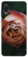Чехол для Samsung Galaxy A02 PandaPrint Роза остин цветы