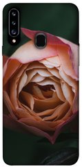 Чохол для Samsung Galaxy A20s PandaPrint Роза Остін квіти
