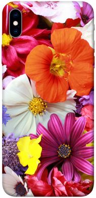 Чехол для Apple iPhone XS Max (6.5"") PandaPrint Бархатный сезон цветы