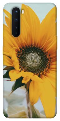 Чохол для OnePlus Nord PandaPrint Соняшник квіти