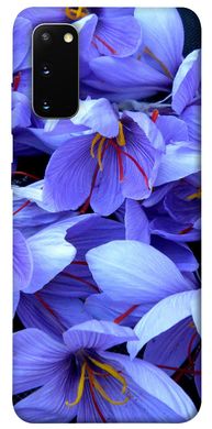 Чохол для Samsung Galaxy S20 PandaPrint Фіолетовий сад квіти