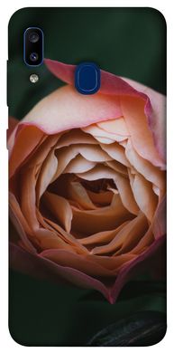 Чехол для Samsung Galaxy A20 / A30 PandaPrint Роза остин цветы