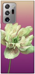 Чехол для Samsung Galaxy Note 20 Ultra PandaPrint Розовый пурпур цветы