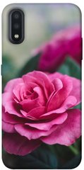 Чехол для Samsung Galaxy A01 PandaPrint Роза в саду цветы