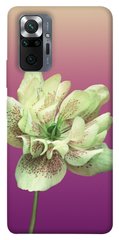 Чехол для Xiaomi Redmi Note 10 Pro Розовый пурпур цветы