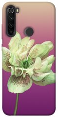 Чехол для Xiaomi Redmi Note 8T PandaPrint Розовый пурпур цветы