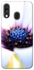Чехол для Samsung Galaxy A40 (A405F) PandaPrint Полевой цветок цветы