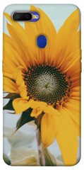 Чохол для Oppo A5s / Oppo A12 PandaPrint Соняшник квіти