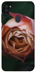 Чехол для Samsung Galaxy M11 PandaPrint Роза остин цветы
