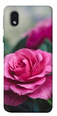 Чехол для Samsung Galaxy M01 Core / A01 Core PandaPrint Роза в саду цветы