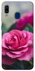 Чехол для Samsung Galaxy A20 / A30 PandaPrint Роза в саду цветы