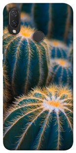 Чохол для Huawei P Smart + (nova 3i) PandaPrint Кактуси квіти