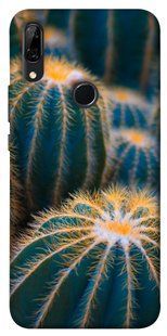 Чохол для Huawei P Smart Z PandaPrint Кактуси квіти