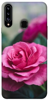 Чехол для Samsung Galaxy A20s PandaPrint Роза в саду цветы
